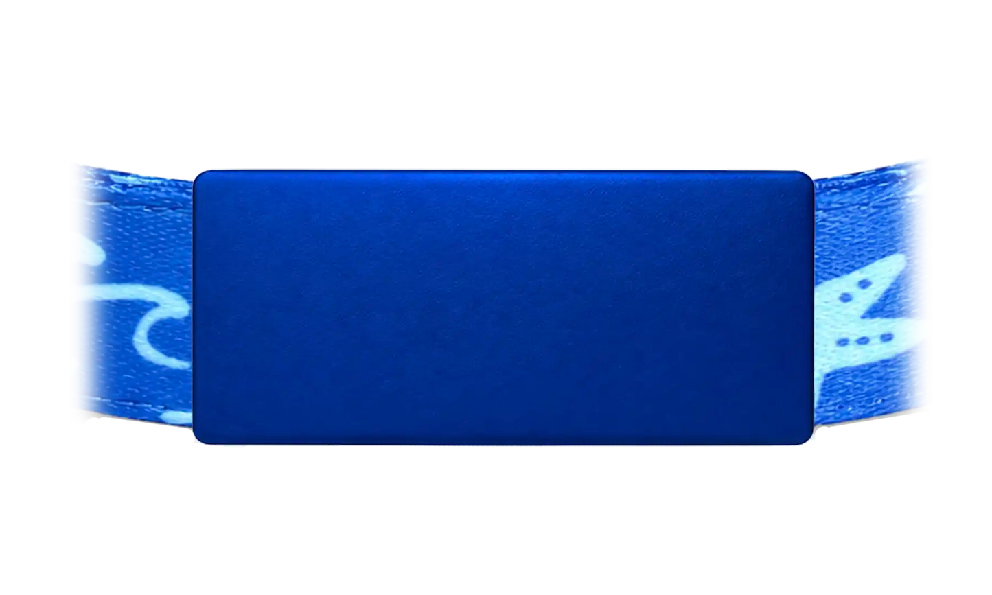 Ocean